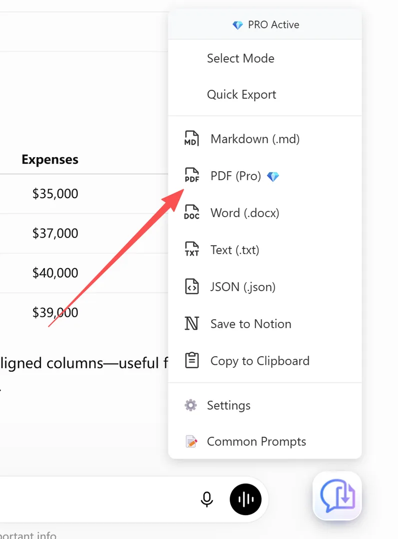 PDF (Pro) option in the export menu